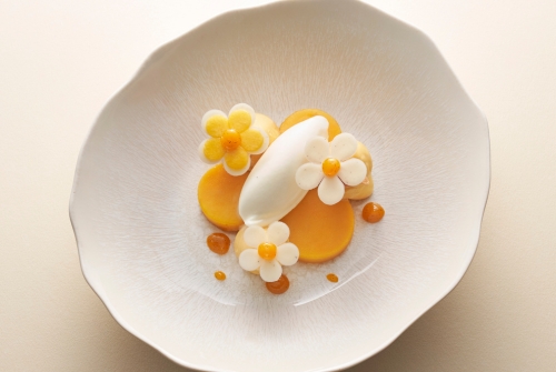 Dessert glacé Yaourt Passion - Recette Valrhona Selection