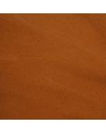 pate pure noisette torrefaction forte par pariani