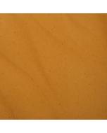 pate pure noisette torrefaction legere par pariani