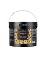praline noisette 50 caramelise par valrhona