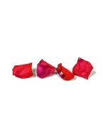 Petales de roses rouges lyophilisees Sosa 5GR