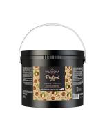 praline noisette 60 caramelise par valrhona