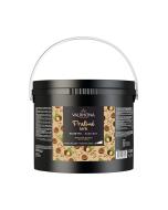 praline noisette 66 fruite par valrhona