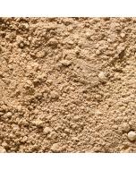 poudre noisette deshuilee par pariani