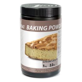 Valrhona Selection - Baking powder STD - 1 kg