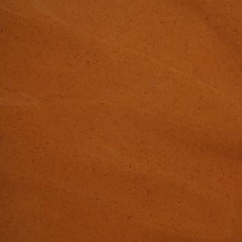 pate pure noisette torrefaction forte par pariani