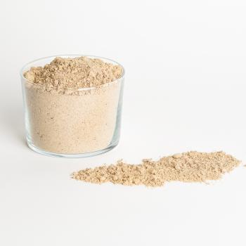 poudre noisette deshuilee par pariani