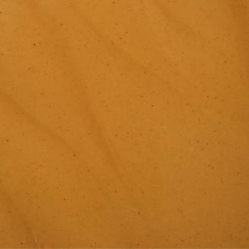 pate pure noisette torrefaction legere par pariani