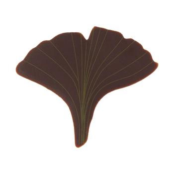 decor feuille ginkgo par chocolatree