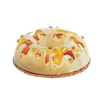 moule entremets couronne par valrhona