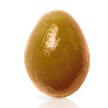 oeuf dulcey nougatine par valrhona