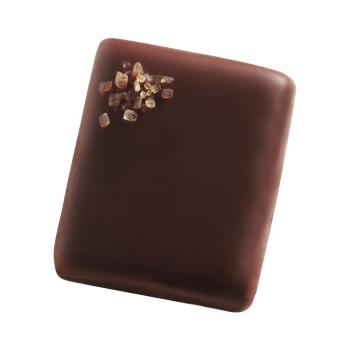 promesse gianduja biscuit noir par valrhona