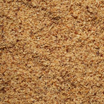 poudre noisettes torrefiees par pariani