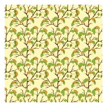 transfert ginkgo par chocolatree