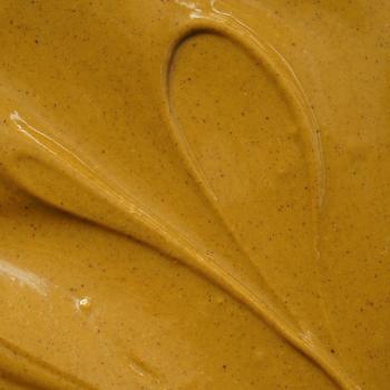 pate pure pistache par pariani