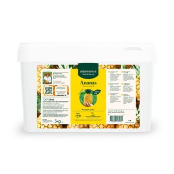 ananas extra sweet puree 5kg par adamance