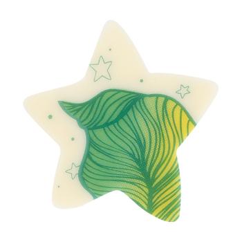 decor etoile jardin verdoyant par chocolatree