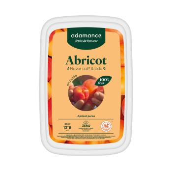 abricot flavor cot lido puree 1 kg par adamance