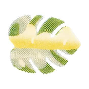 decor feuille exotique par chocolatree