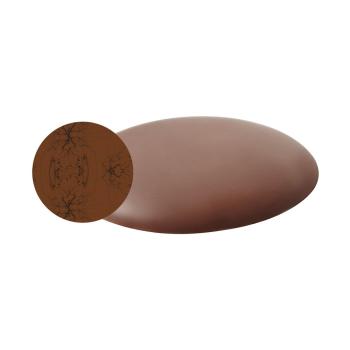 palet coco lait par valrhona