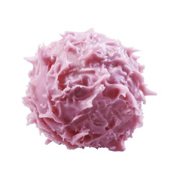 sensation chardon framboise par valrhona