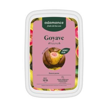 goyave paluma puree surgelee 1 kg par adamance