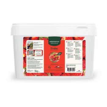 fraise mara bois puree 5 kg par adamance