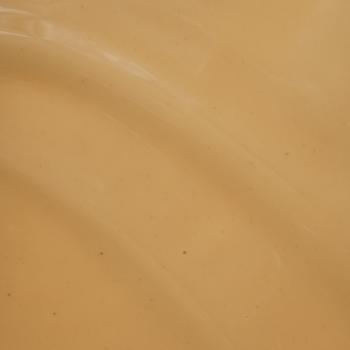 pate pure pignon par pariani