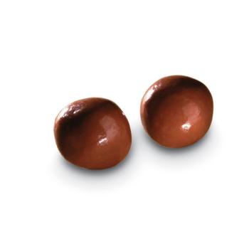 fantaisie avelinas lait par valrhona