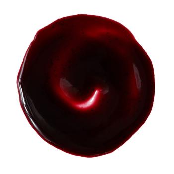 pate concentree myrtille par sosa