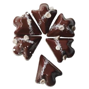 moule entremets multiportions par valrhona