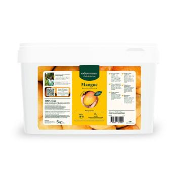 mangue kesar alphonso puree 5 kg par adamance