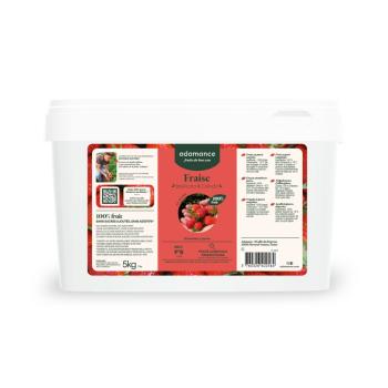 fraise basilicata calinda puree surgelee 5 kg par adamance