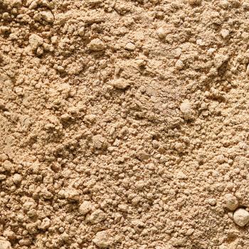 poudre noisette deshuilee par pariani