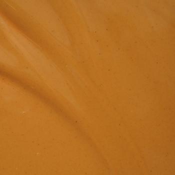 pate pure noisette torrefaction moyenne par pariani