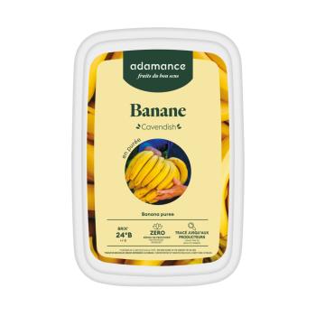 banane cavendish puree surgelee 1 kg par adamance