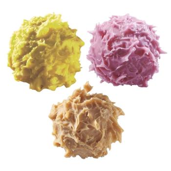 sensation panache chardons par valrhona