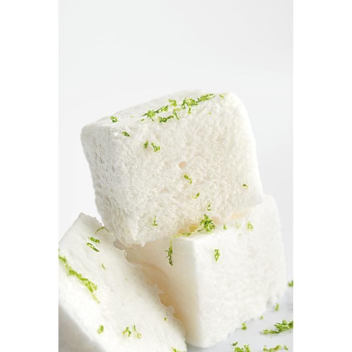 gelatine porc par sosa