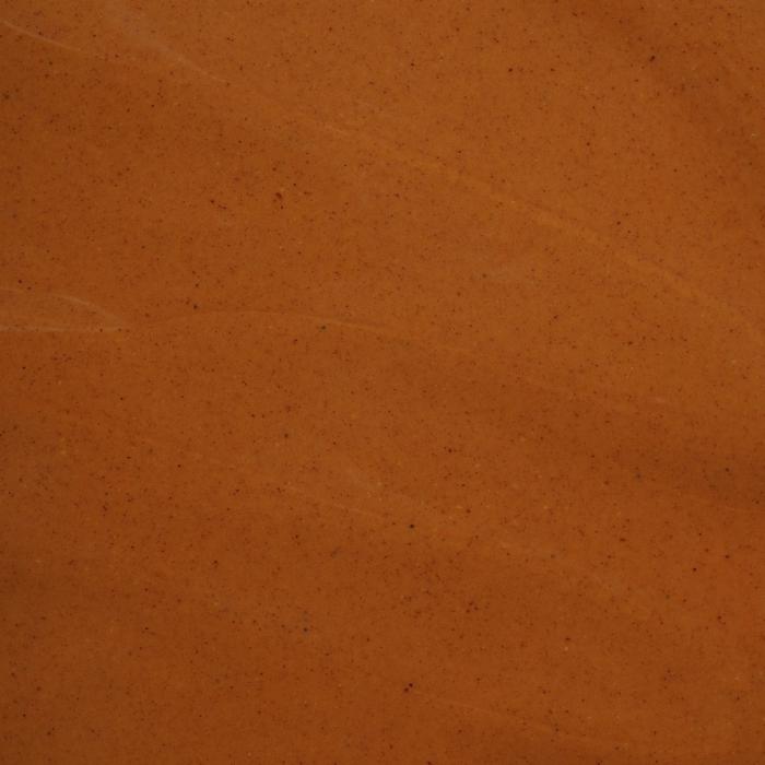 pate pure noisette torrefaction forte par pariani