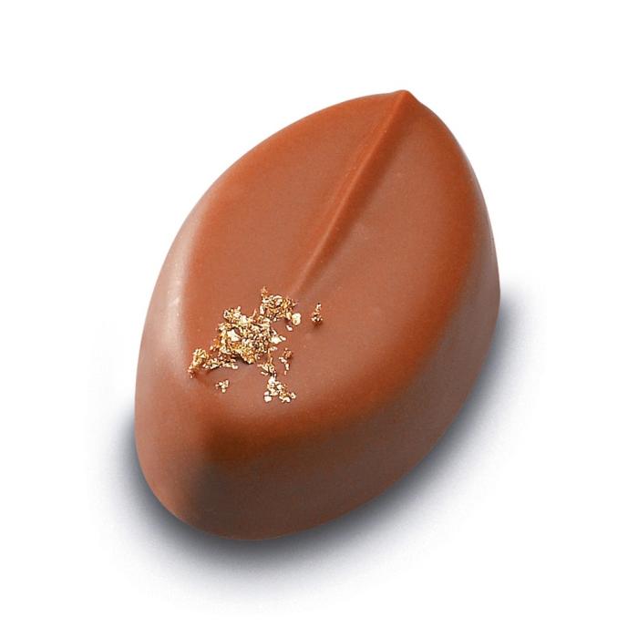 etincelle lyra par valrhona