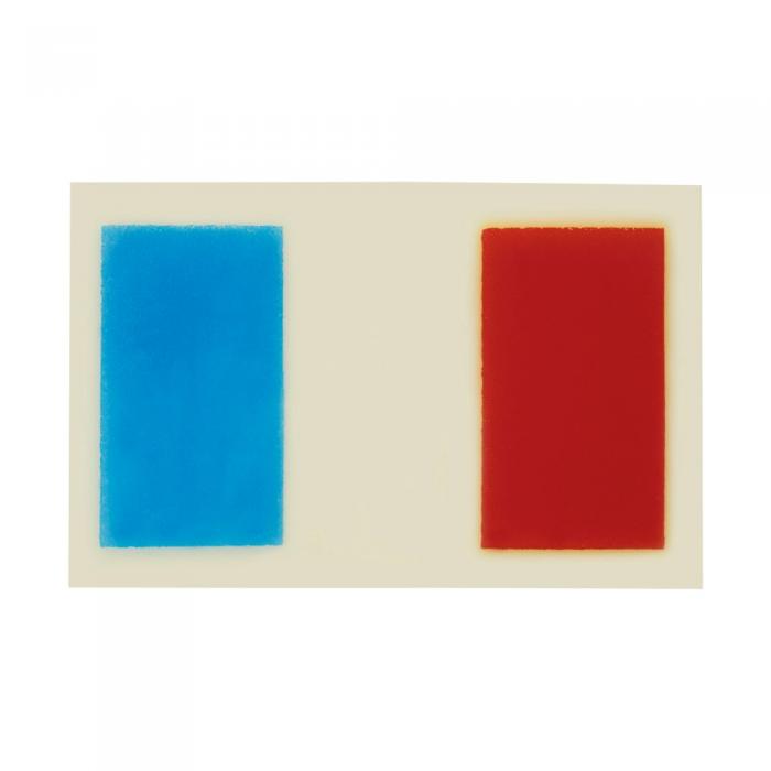 Rectangle drapeau france