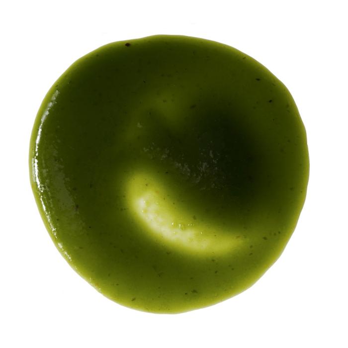 pate concentree pomme verte par sosa