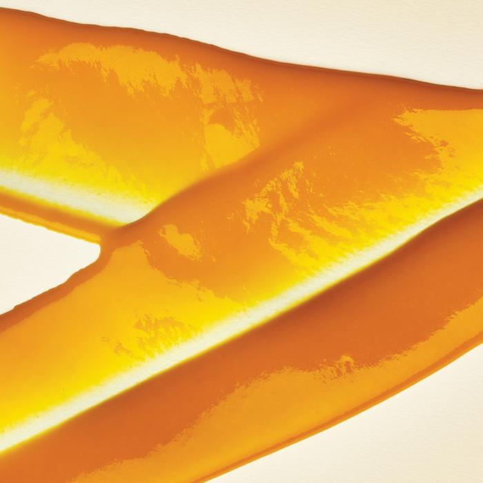 mangue kesar alphonso puree 1 kg par adamance