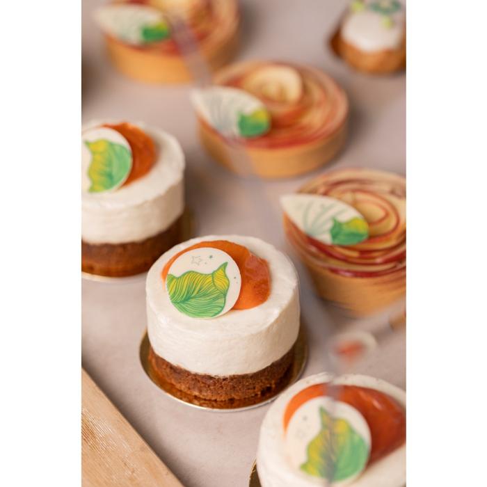 decor rond jardin verdoyant par chocolatree