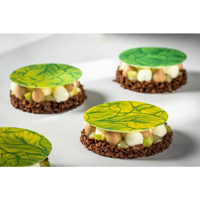 decor rond grand jardin verdoyant par chocolatree