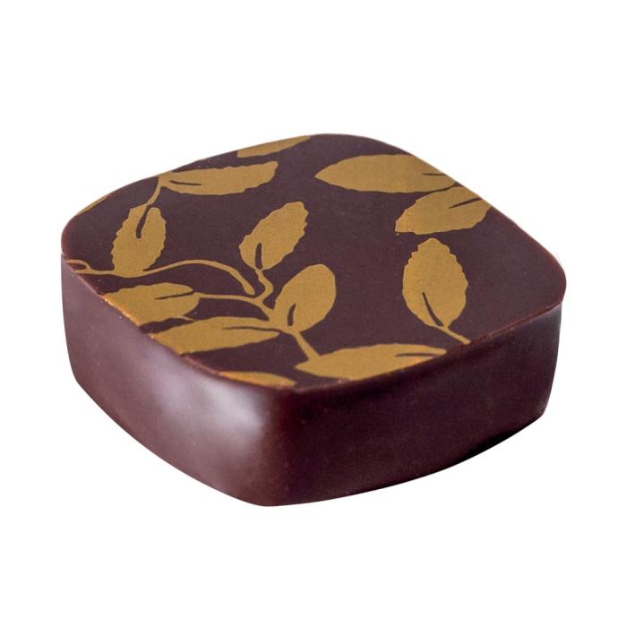 Sensation ganache the jasmin par Valrhona