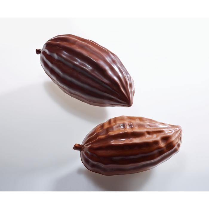 moule petit cabosse par valrhona