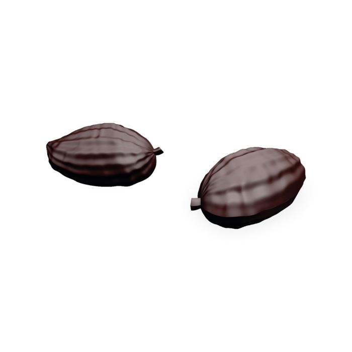 moule moyen cabosses par valrhona