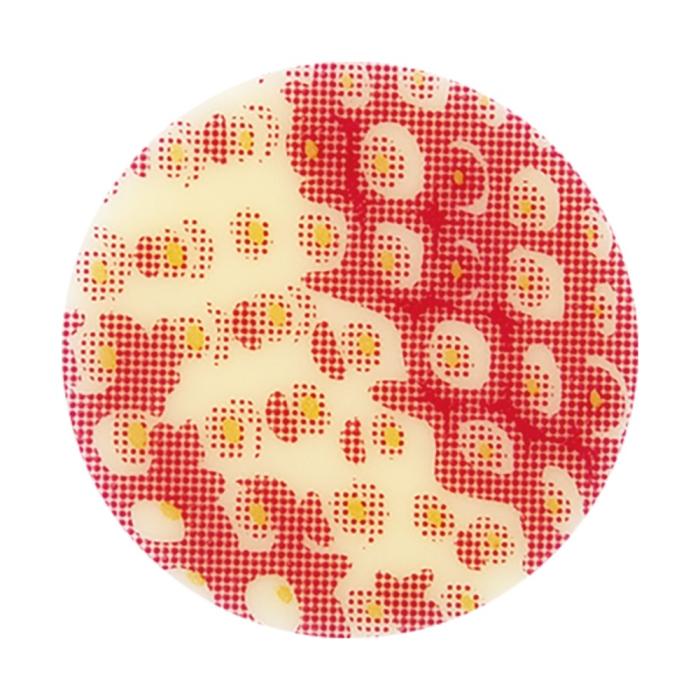 decor rond chocolat blanc motif fraise par chocolatree