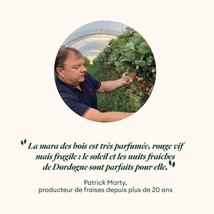 fraise mara bois puree 1kg par adamance
